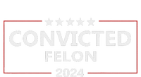 Voted Convicted Felon 2024 Pro Trump Premium T-Shirt