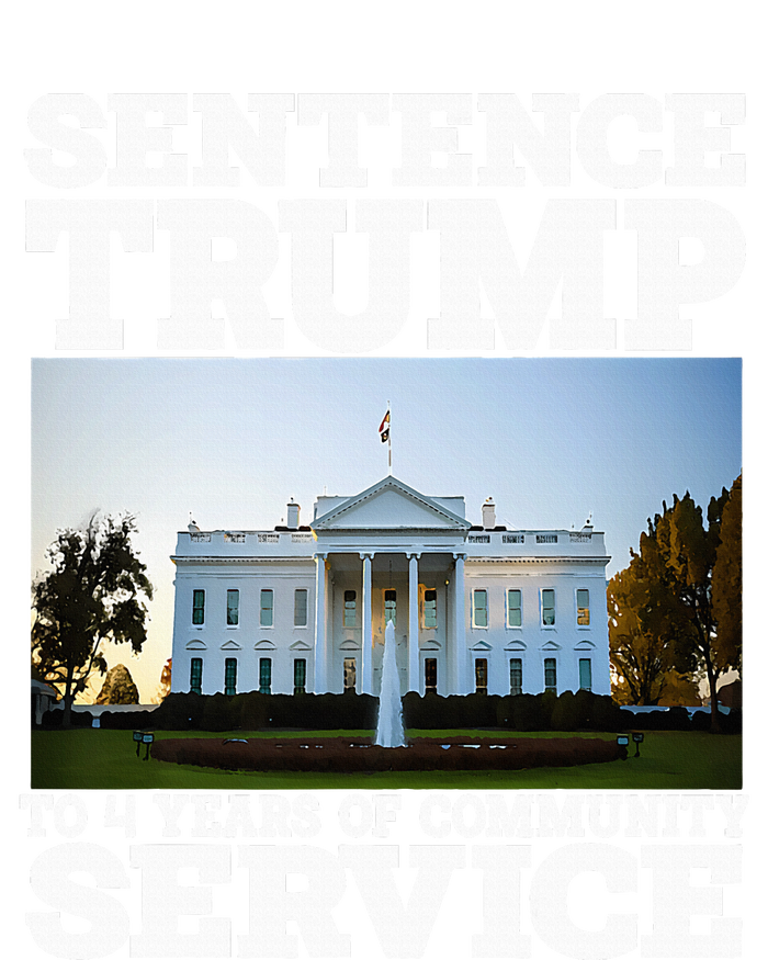 Sentence Trump To 4 Years Of Community Service White House T-Shirt