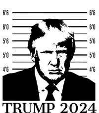 Donald Trump 2024 Mugshot Take America Back Usa Tall Sweatshirt