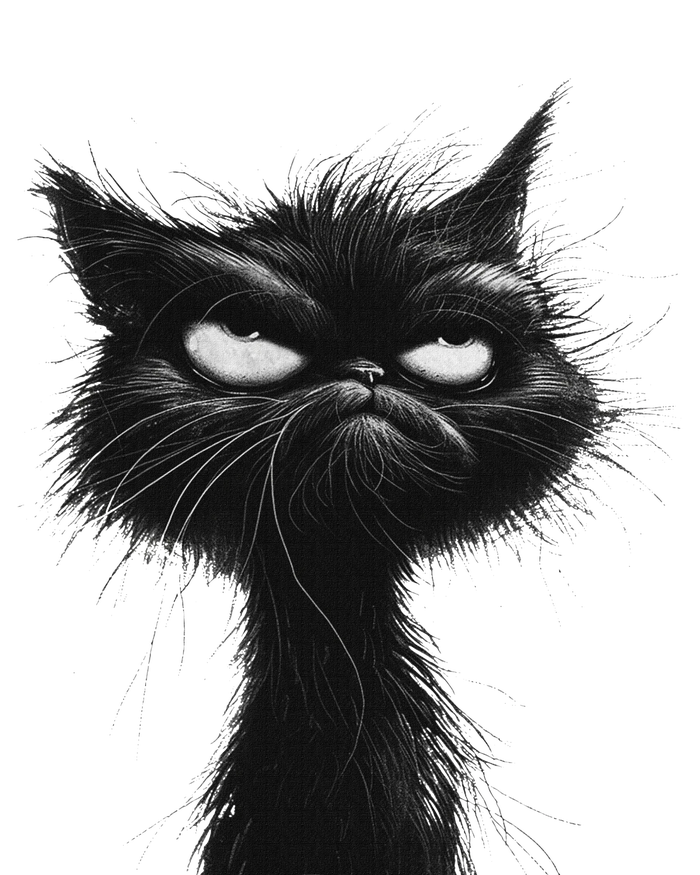 Eagerlys Black Cat Art Grumpy Angry T-Shirt