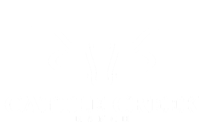 Cattle Creek Original White Logo Toddler Sweatshirt