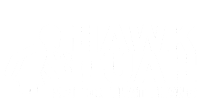 Hawk Tuah Spit On That Thang Funny Interview Hoodie