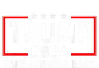 Donald Trump 2024 Take America Back Usa United States 16 in Basic Backpack