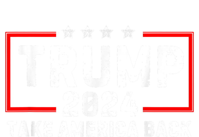 Donald Trump 2024 Take America Back Usa United States 16 in Basic Backpack