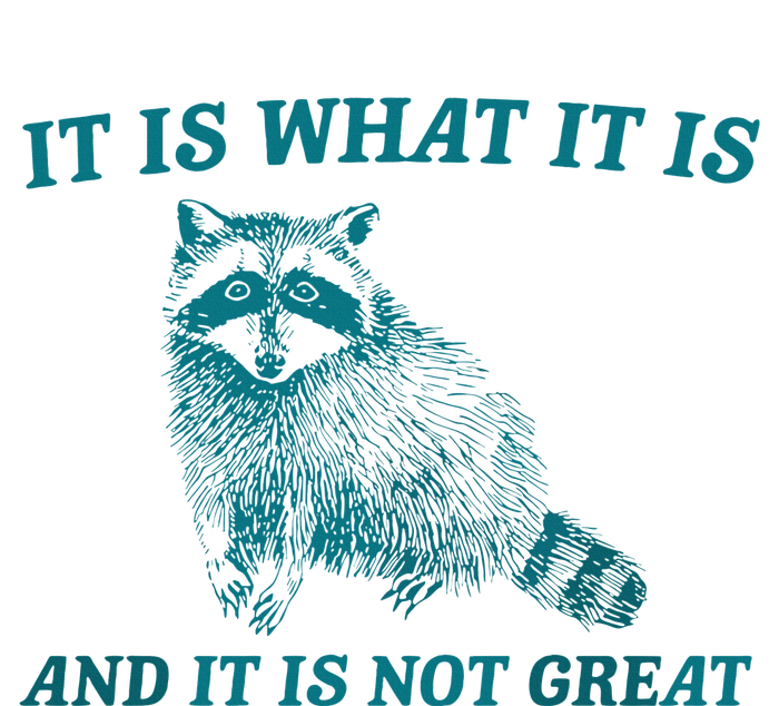 It Is What It Is And It Is Not Great Raccoon Trash Panda Adult ChromaSoft Performance T-Shirt