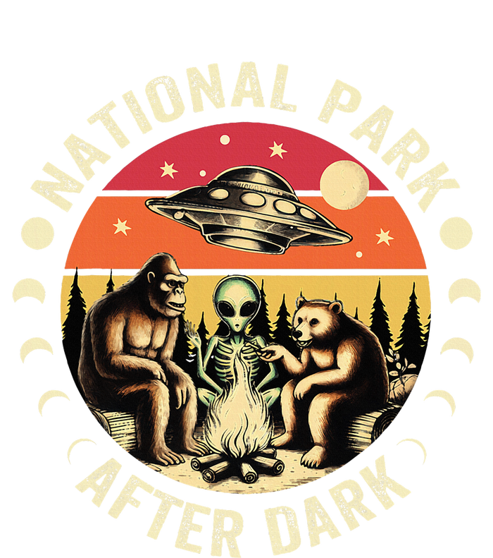 National Park After Dark Funny Sweatshirt