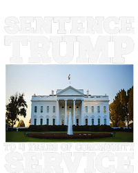 Sentence Trump To 4 Years Of Community Service White House Hoodie