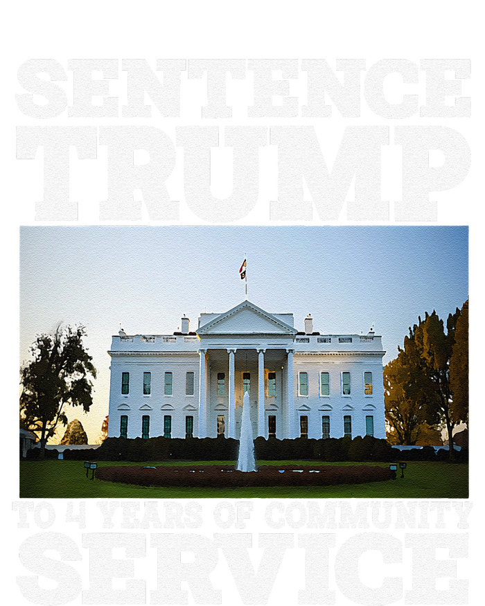 Sentence Trump To 4 Years Of Community Service White House Hoodie