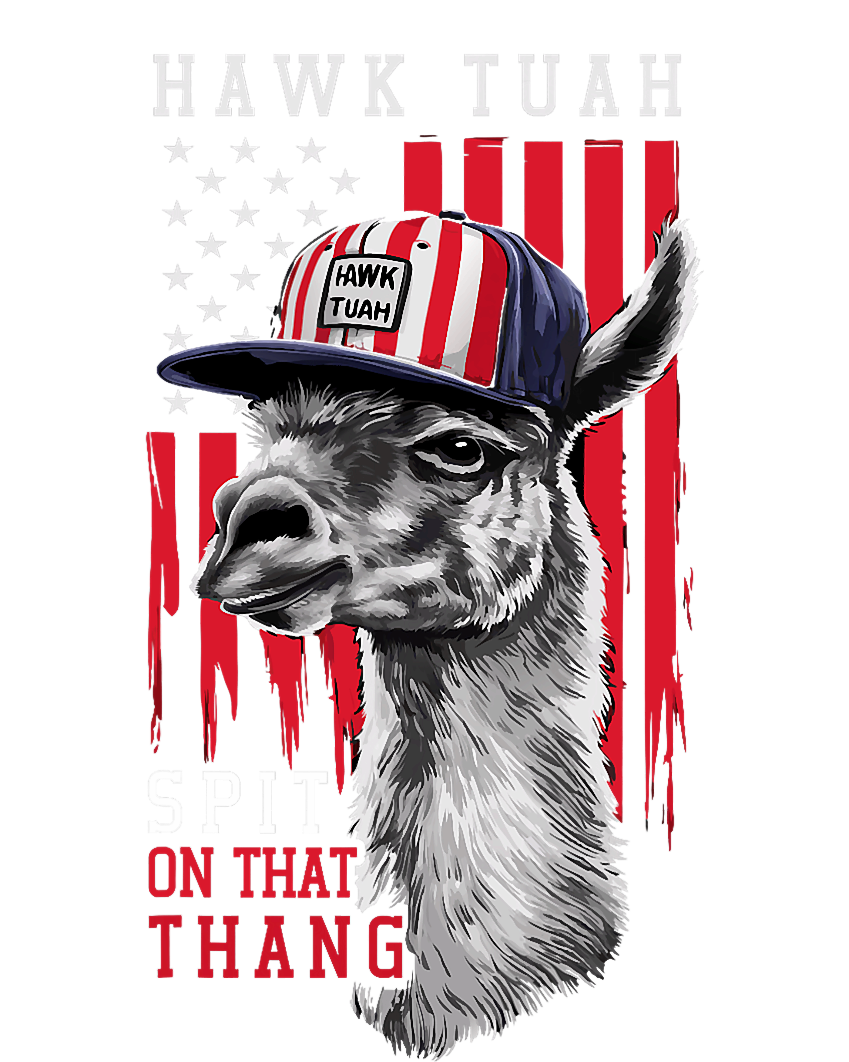 Hawk Tush Spit On That Thing Funny Llama July 4th Valucap Bio-Washed Visor