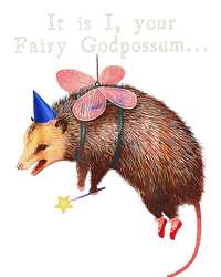 Your Fairy God Possum Funny Opossum Women's V-Neck T-Shirt