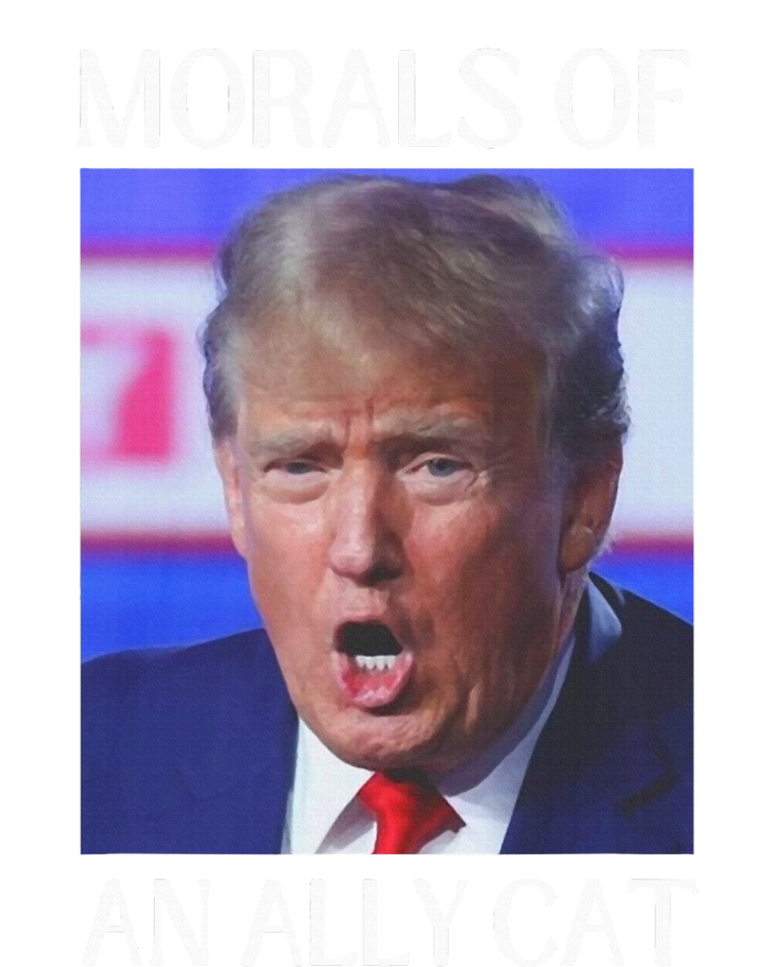 Morals Of An Ally Cat Trump Biden Debate Valucap Bio-Washed Visor