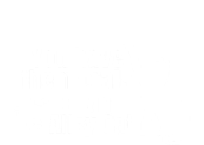 Funny You Have The Morals Of An Alley Cat Gift Ladies PosiCharge Competitor Racerback Tank