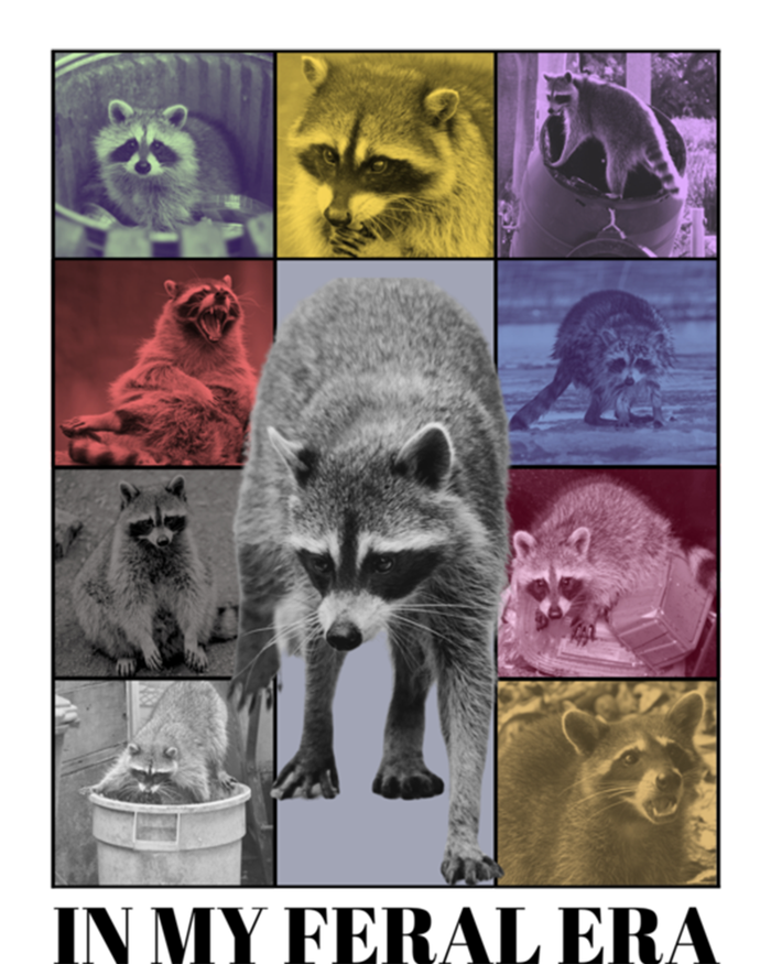 In My Feral Era Raccoon Trash Panda Weird Meme Feral Era Gift Mousepad