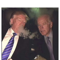 Trump And Biden Smoking Weed Striped Beanie with Solid Band