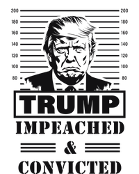 Impeached & Convicted Political Statement Artwork Premium Pullover Hoodie