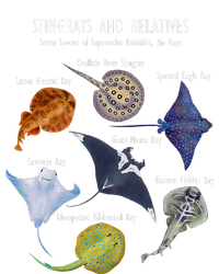 Stingray Species Manta Ray River Stingray And More T-Shirt