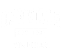 Danville Virginia Va Vintage Established Sports Design T-Shirt