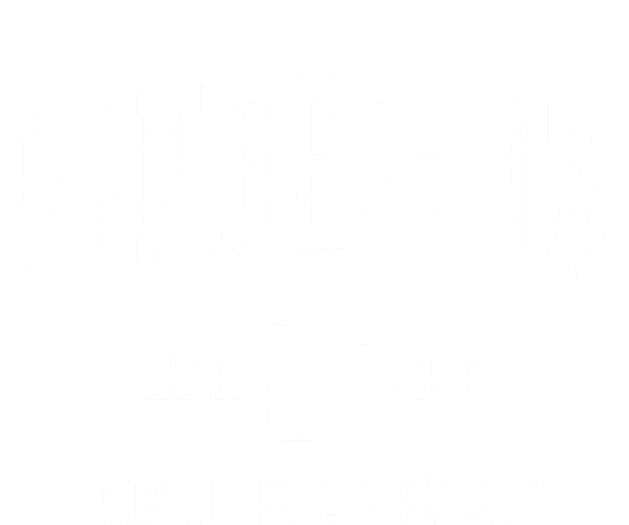 Minnesota Vintage Established Sports Design T-Shirt