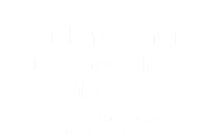 With Fear For Our Democracy I Dissent Tall T-Shirt