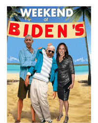 Weekend At Bidens Weekend At Bidens Sustainable Bucket Hat