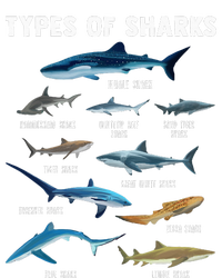 Types Of Sharks Shark Women's T-Shirt