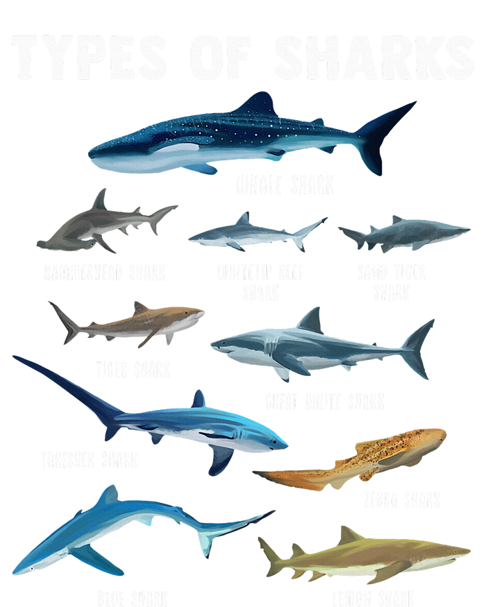 Types Of Sharks Shark Women's T-Shirt