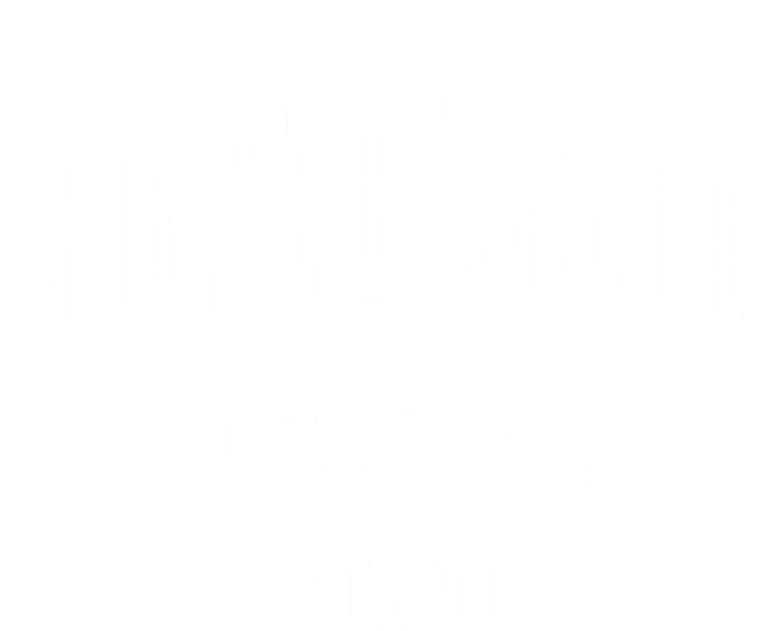 South Russell Ohio Oh Vintage Sports Established Design T-Shirt