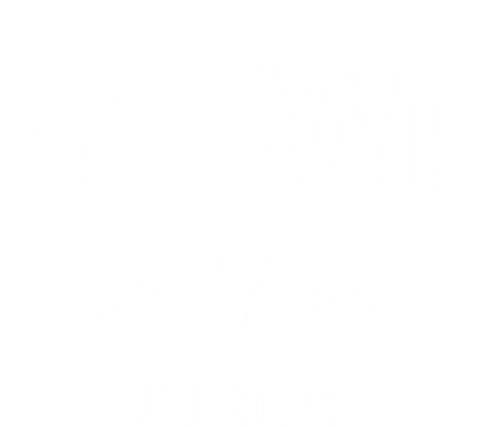 Stowe Vermont Vt Vintage Established Sports Design Premium T-Shirt