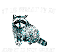 It Is What It Is And It Is Not Great Raccoon Short Acrylic Beanie