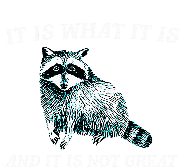 It Is What It Is And It Is Not Great Raccoon Short Acrylic Beanie