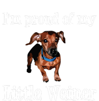 Im Proud Of My Little Weiner Funny Dachshund Dog Lover Striped Beanie with Solid Band