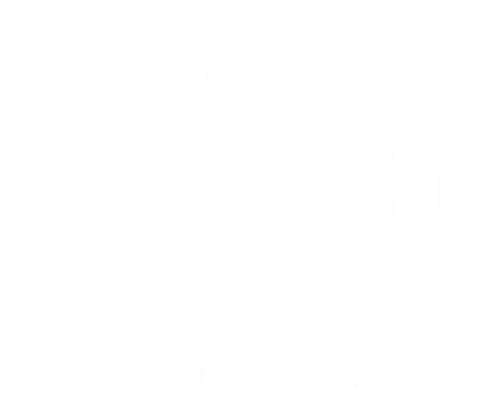 Tega Cay South Carolina Sc Js04 Vintage Established Athletic Sports Premium Hoodie