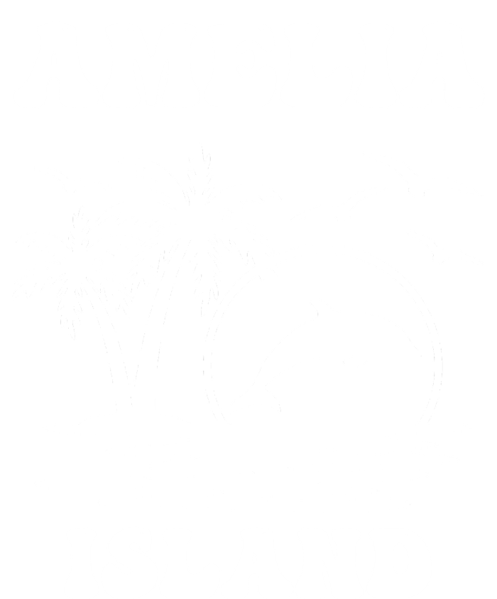 Florida Family Vacation Summer Tourist Funny Amelia Island Women's T-Shirt