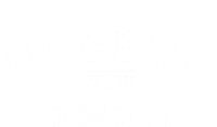 Queens New York Ny Vintage Established Kids Long Sleeve Shirt