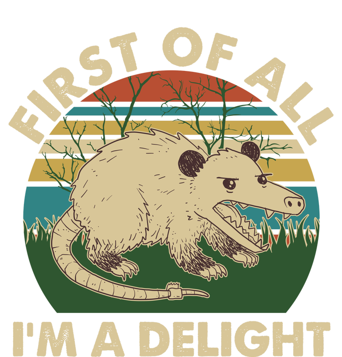 Funny Retro Opossum First Of All Im A Delight T-Shirt