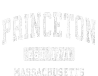 Princeton Massachusetts Ma Vintage Sports Established Toddler Sweatshirt