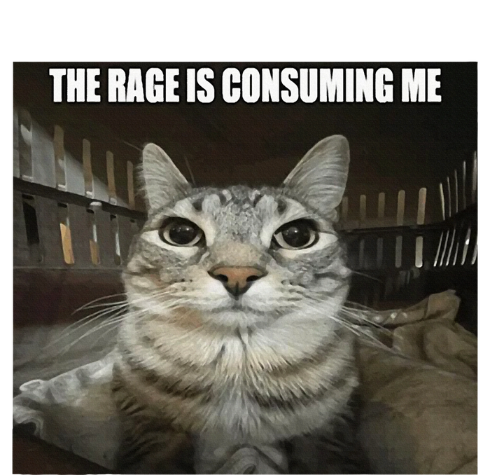 Rage Is Consuming Me T-Shirt