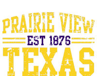 Prairie View Texas Prairie Gift Distressed Youth Performance Sprint T-Shirt