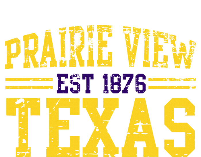 Prairie View Texas Prairie Gift Distressed Youth Performance Sprint T-Shirt