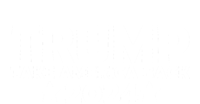 Donald Trump 2024 Take America Back Donald Trump 2024 T-Shirt