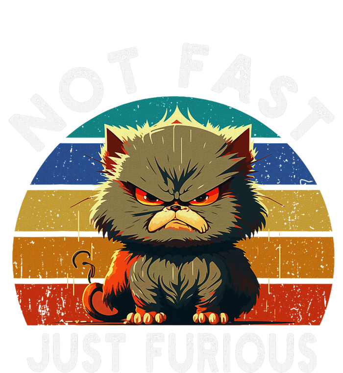 Not Fast Just Furious Retro Funny Cat Kitty Lover Sarcastic V-Neck T-Shirt