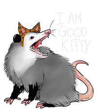 Opossum I Funny Possum I Am A Good Kitty Women's Tri-Blend 3/4-Sleeve Raglan Shirt