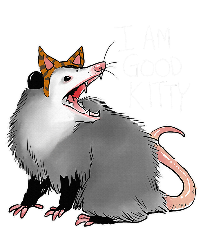 Opossum I Funny Possum I Am A Good Kitty Women's Tri-Blend 3/4-Sleeve Raglan Shirt