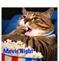 Movie Night Cat Adult ChromaSoft Performance T-Shirt