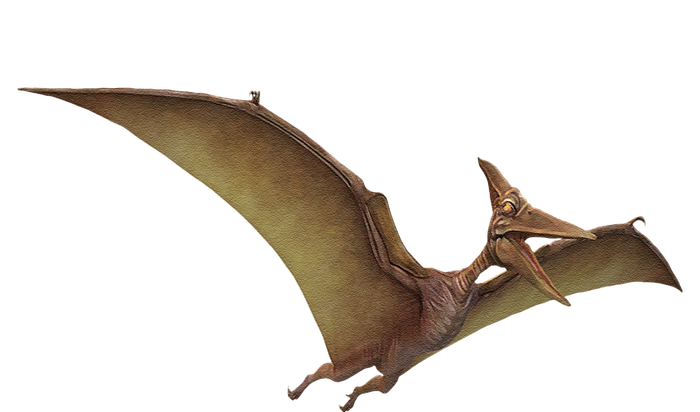 Really Like Pterodactyl Dinosaur Flying Reptile T-Shirt