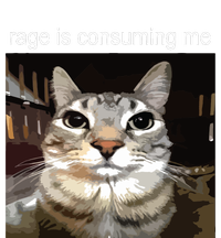 Rage Is Consuming Me Silly Staring Cat Meme Kids T-Shirt