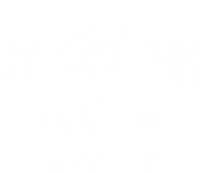 Alexandria Minnesota Mn Vintage Sports T-Shirt