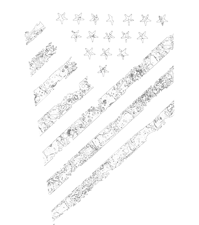 Tactical Pro Supply Patriotic American Flag T-Shirt