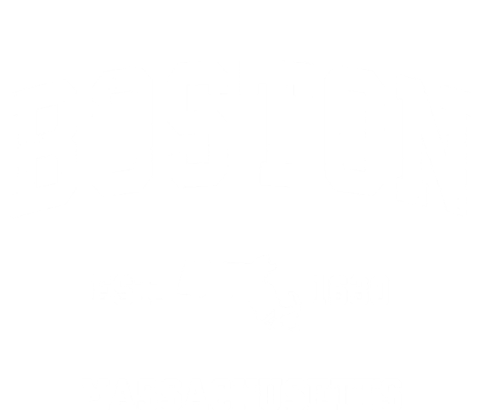 Boston Massachusetts Ma Vintage Sports Design Established T-Shirt