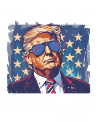 Trump Donalds Presidential Election 2024 Gift Premium T-Shirt